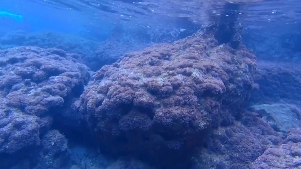 beautiful sea красивое море güzel deniz