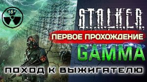 STALKER /// ANOMALY GAMMA ▶ Поход к Выжигателю ч. 2 ▶ 23