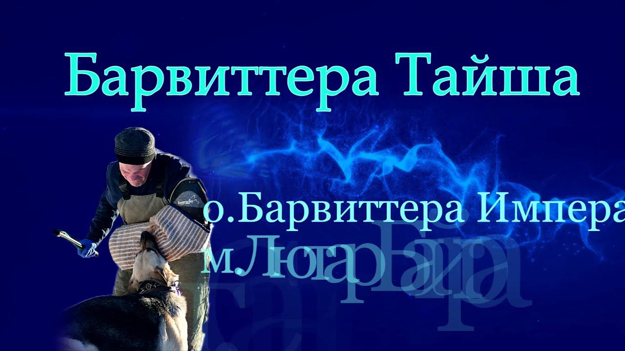 ТАЙША -ТРЕНИНГ