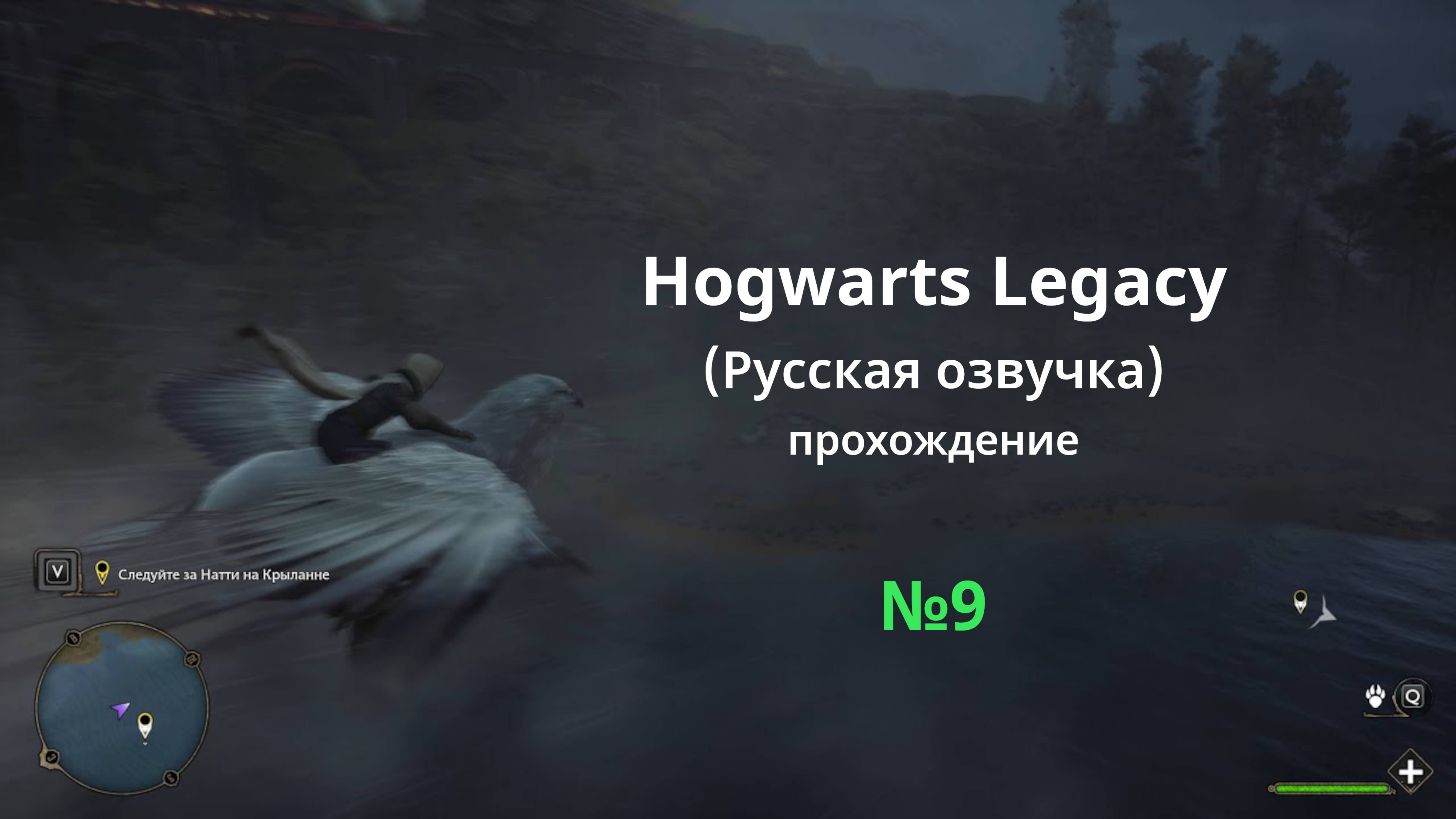 Hogwarts Legacy (Русская озвучка) - GamePlay (4k 60fps) - Прохождение игры - Без комментариев - №9