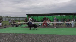 Вео Росс Берн Тедди Беар