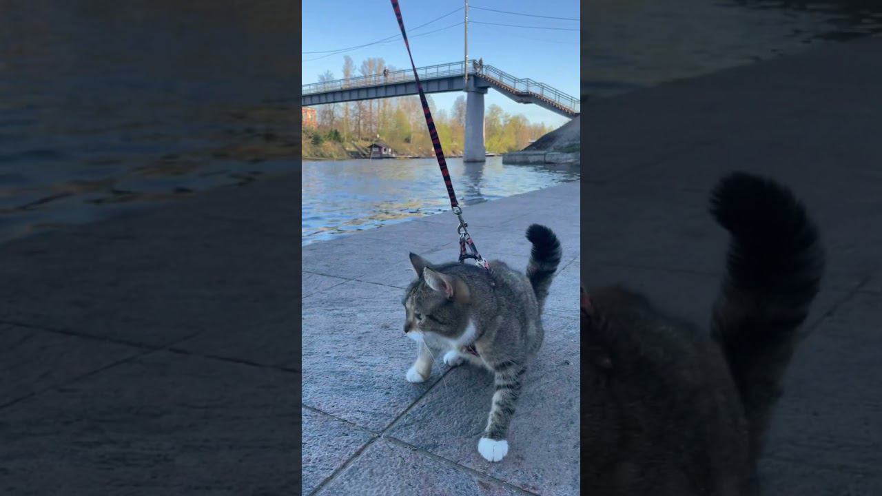 Шаня на рыбалке