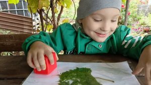 Почему листья зелёные?.mp4