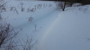 А заяц то был. Очередная охота на зайца.