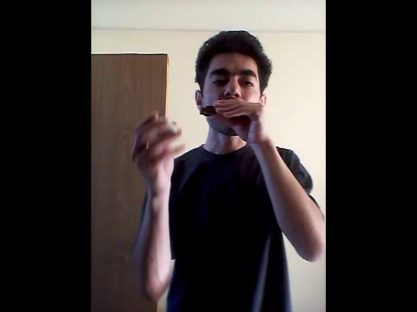 God's Gonna Cut You Down. Johnny Cash harmonica cover #stratocastro #harmonica #harp #губнаягармошка