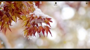 1 GIMP Добавить кисти в программу