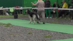 Моншер Вирсаль Тобол