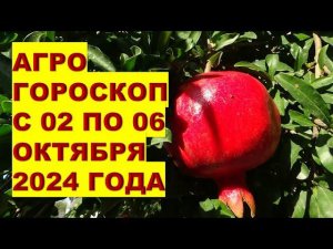 Агрогороскоп с 02 по 06 октября 2024 Agrohoroscope from 02 to 06 October 2024