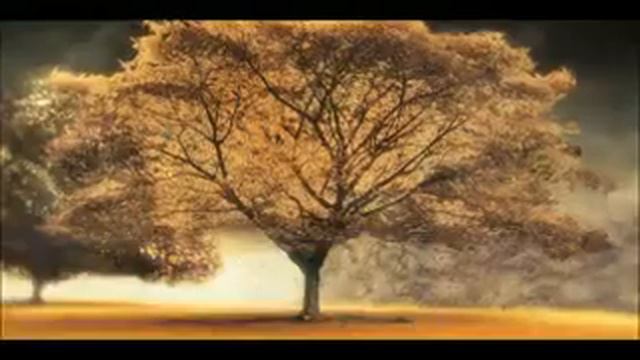 Араш и хелена смотреть онлайн