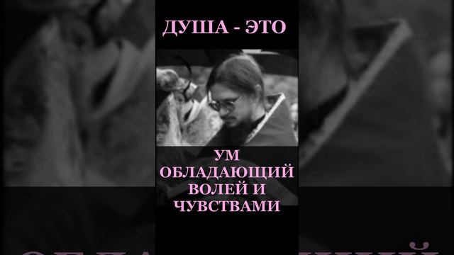 Иерей Даниил Сысоев 2016 год. Душа - это ум обладающий волей и чувствами