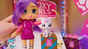 Boxy Girls питомцы