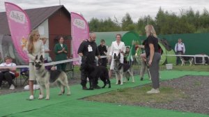 Награждение ЛРС