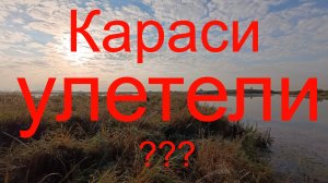 Караси улетели ??? Лебяжье озеро. Виноградово.19.09.2024.