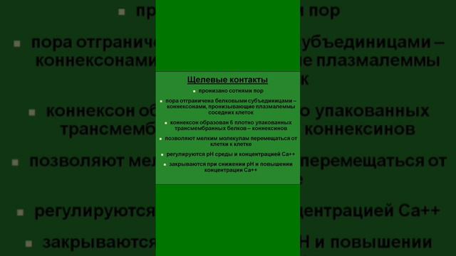 Строение нексуса