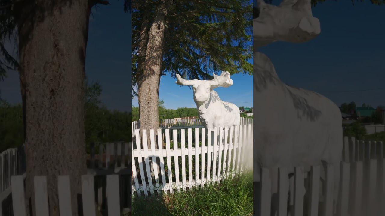 Лось #shorts #природа #влог #велосипед #скульптура #Томск #сибирь