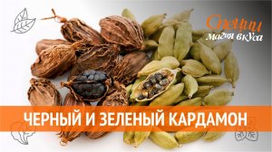 Зеленый и черный кардамон