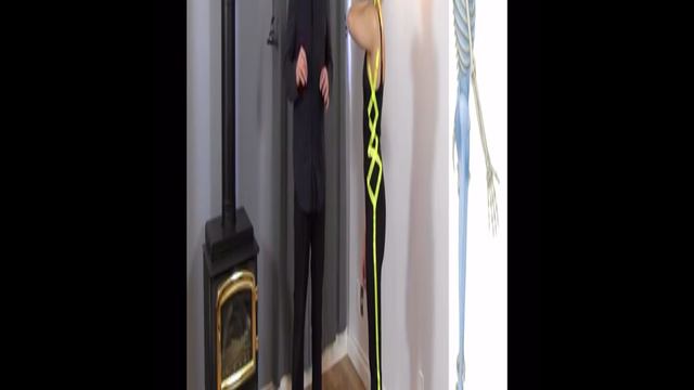 Латеральная фасциальная линия. Фасциальные плоскости. Фасция и акупунктура смотреть онлайн