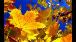 Осенний бал! Суперский ролик!