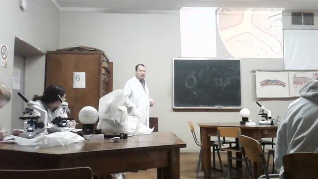 Мпф. Пищеварительная система. Немного про профилактику