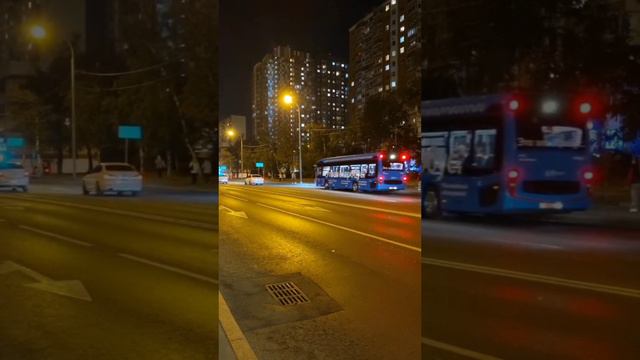 Москва - Электробусы  #электробус #москва #интересное #rutube #рекомендации #транспорт #кот