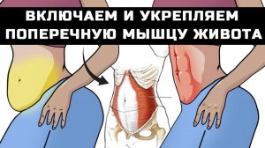 ТОРЧИТ ЖИВОТ и ДОМИК НА ЖИВОТЕ: как убрать? ПОПЕРЕЧНАЯ МЫШЦА ЖИВОТА — секрет идеального пресса!