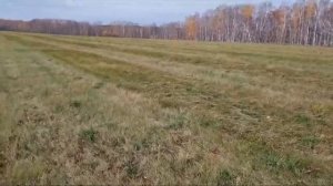 Улучшение сенокосов пастбищ луговые сеялки Vredo травяные сеялки