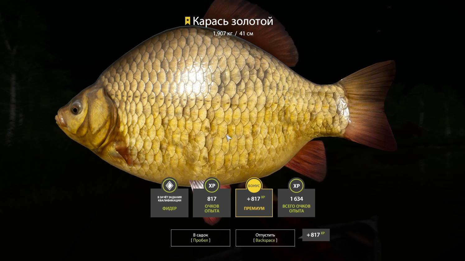 🐟Трофейный Золотой Карась 1,9 кг, Русская Рыбалка 4, Russian Fishing 4