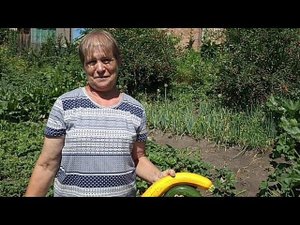 Замёрзли кабачки, что делать?