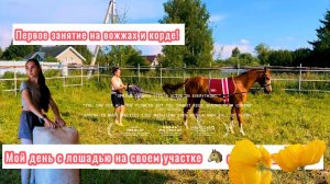 ✨Мой день с лошадью на своем участке | Один день из жизни коневладельца✨