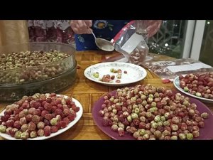 Заготовка клубники на зиму