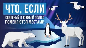 Что, если Северный и Южный полюс поменяются местами?