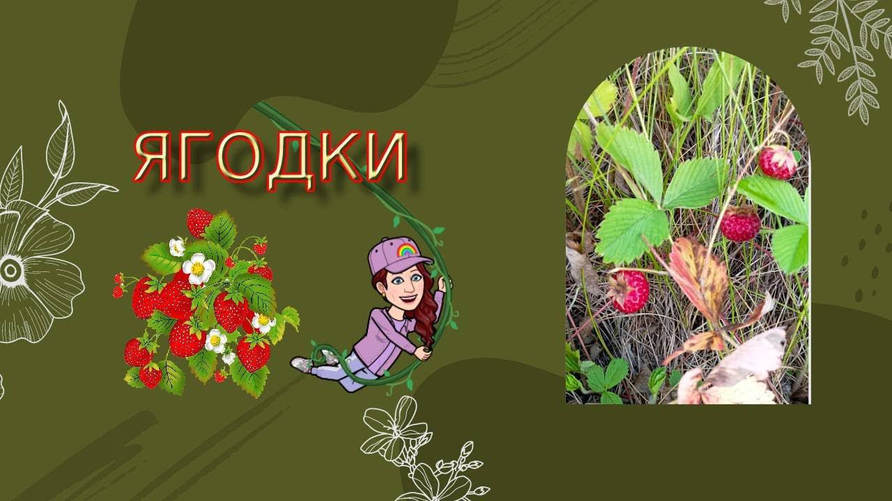 Ягодки