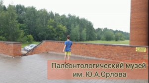 Мир динозавров. Палеонтологический музей