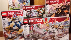 2023 Ninjago Haul! 🐲 (ft. Waffle the Cat)