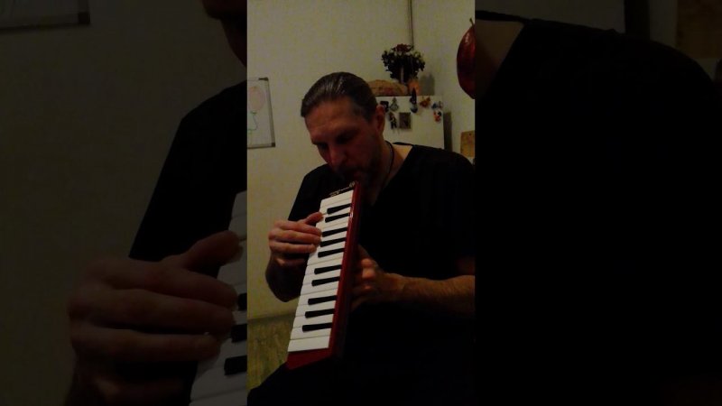 #губная_гармошка #harmonica Hoochie-Coochie Man. Melodica lesson #stratocastro