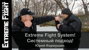 Extreme Fight System! Системный подход! Юрий Кормушин.