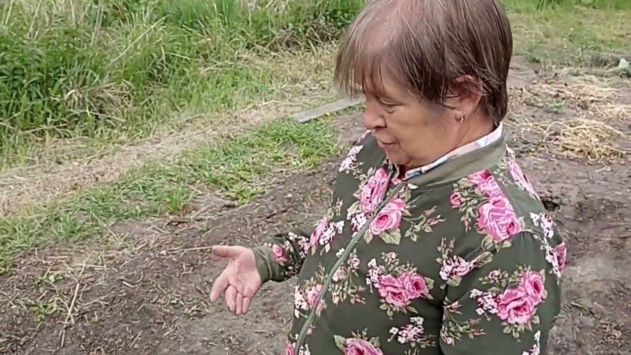 Заморозки в июне в Омске