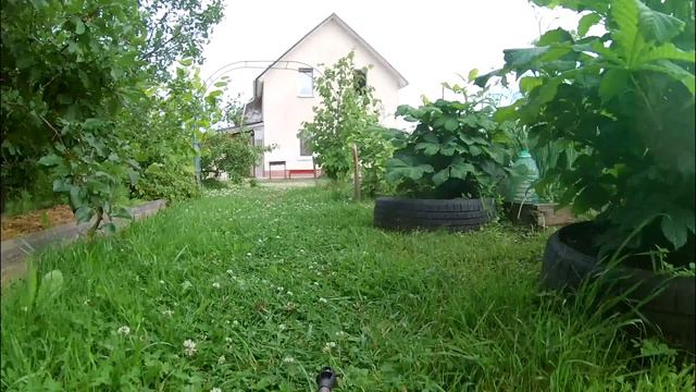 Танк-игрушка в летнем огороде