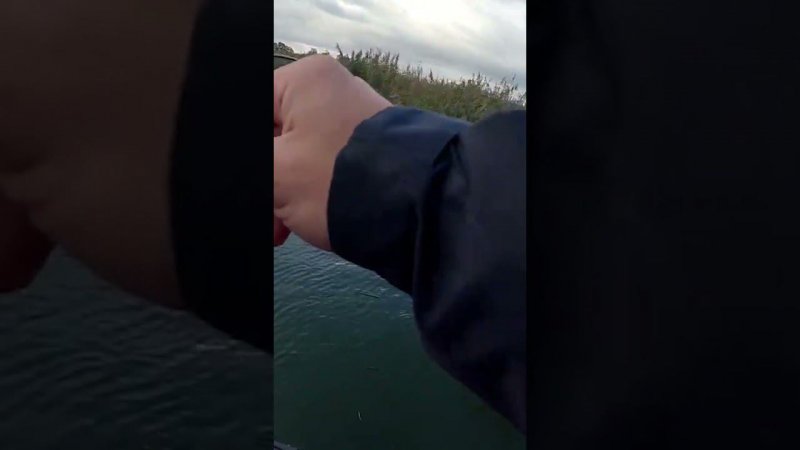 ОГОНЬ! Бойкая осенняя ЩУКА  #norstream #fishing #рыбалка#pikefishing #щука