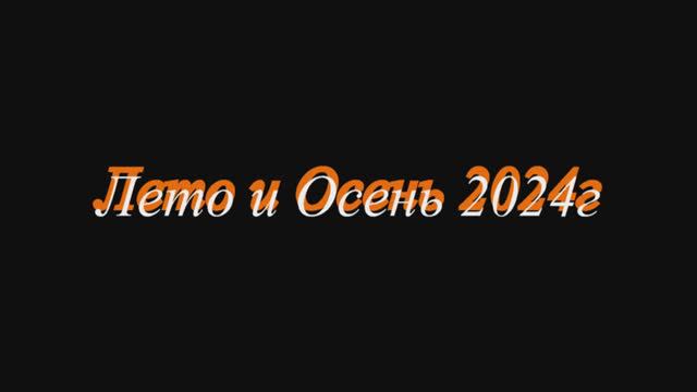 Лето-Осень 2024года