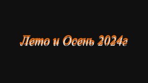 Лето-Осень 2024года