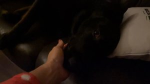 Влог бессонная ночь с малышкой реборн #reborn #реборн