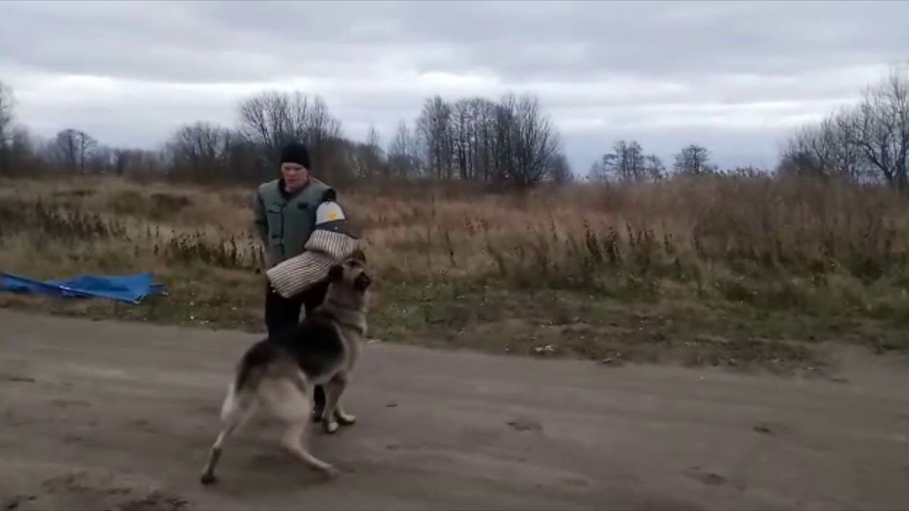 БАРВИТТЕРА ПАХАН ПРК 17.11.2018