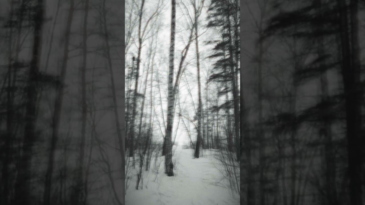 Ужастики))) #shorts #зима #лес #велосипед #фэтбайк