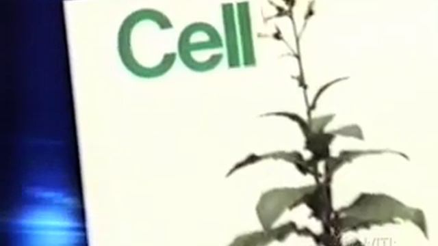 Mary Dell Chilton, VP of Agricultural Biotechnology, CEIBA-Geigy Corporation, 2004