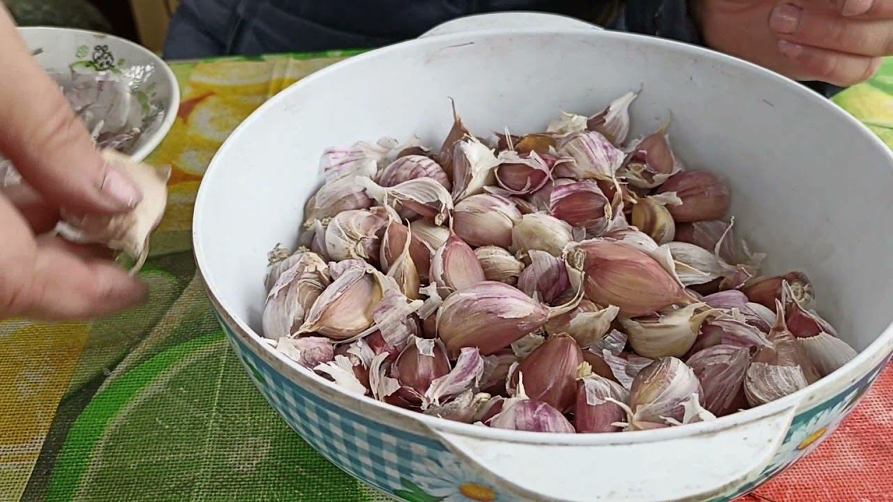 ОЗИМЫЙ ЧЕСНОК Сажаем правильно! смотреть онлайн