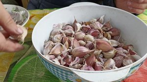 ОЗИМЫЙ ЧЕСНОК  Сажаем правильно!