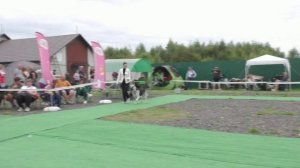 Фиелисс Жак-Картье