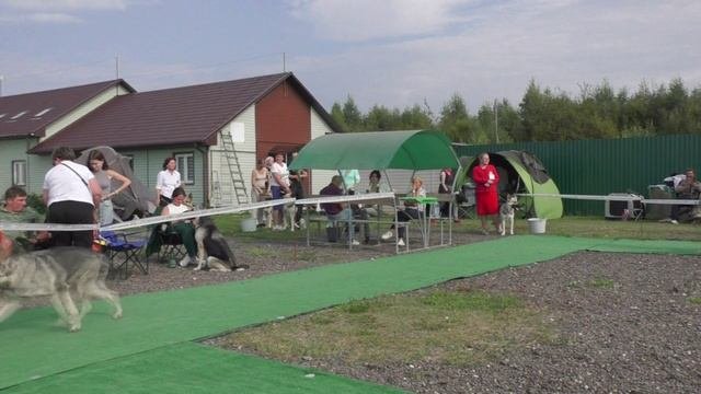 Сравнение промежуточного класса