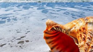 о море море